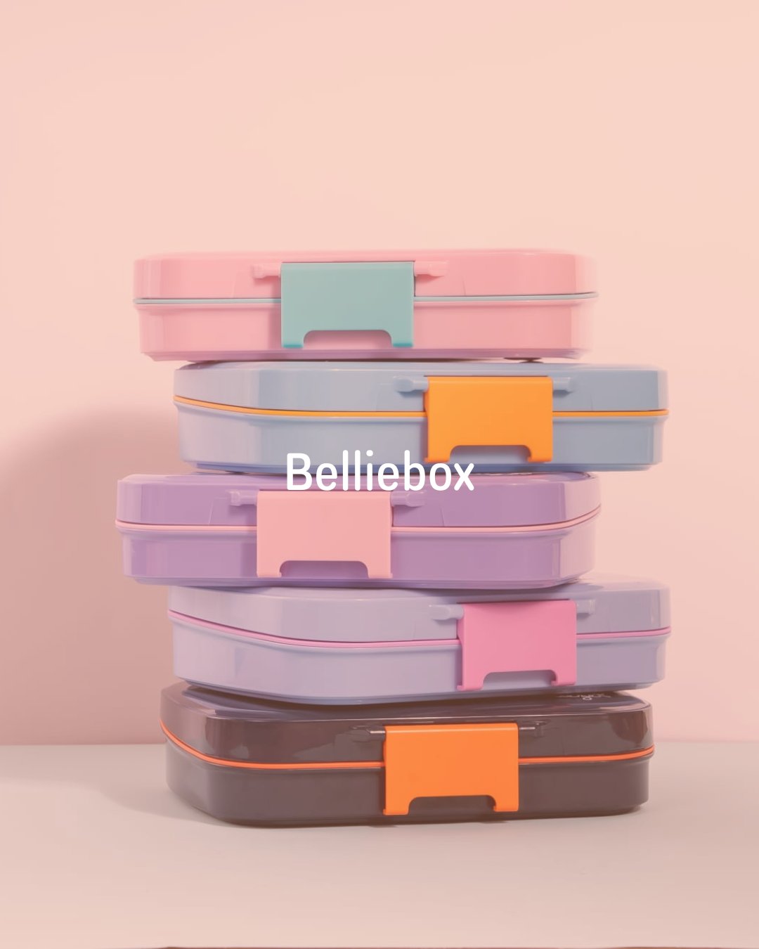 Plastic/Stainless Lunchbox